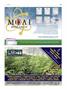 Page: - 109 | High Times