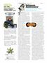 Page: - 110 | High Times