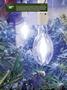 Page: - 12 | High Times