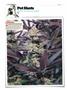 Page: - 120 | High Times