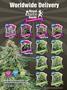 Page: - 21 | High Times