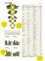 Page: - 38 | High Times