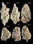 Page: - 69 | High Times
