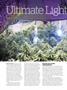 Page: - 78 | High Times