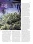 Page: - 79 | High Times