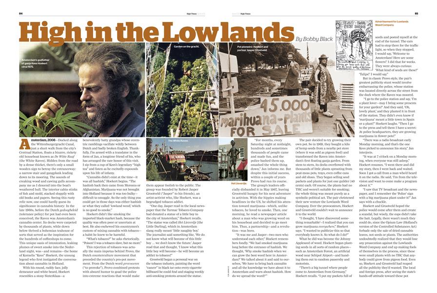 High in the Lowland