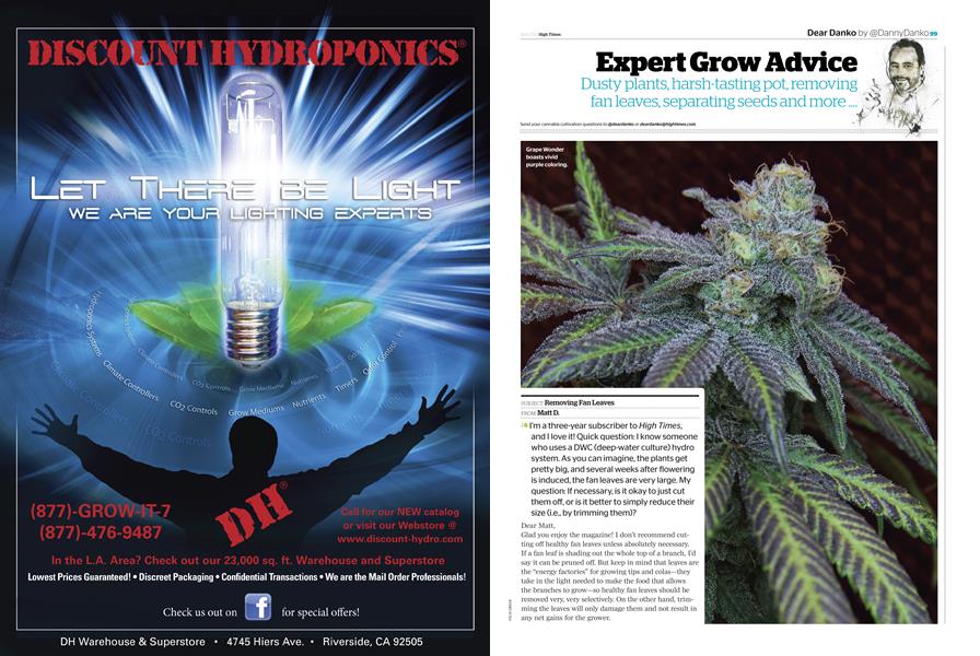 Expert Grow Advice