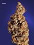 Page: - 101 | High Times