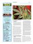 Page: - 102 | High Times