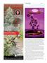 Page: - 104 | High Times