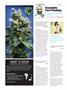 Page: - 106 | High Times