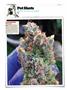 Page: - 120 | High Times