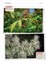 Page: - 122 | High Times