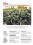 Page: - 4 | High Times