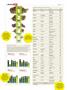Page: - 40 | High Times