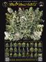 Page: - 44 | High Times