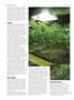 Page: - 50 | High Times