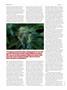Page: - 60 | High Times