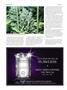 Page: - 62 | High Times
