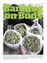 Page: - 65 | High Times