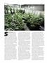 Page: - 66 | High Times