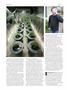 Page: - 74 | High Times
