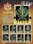 Page: - 93 | High Times