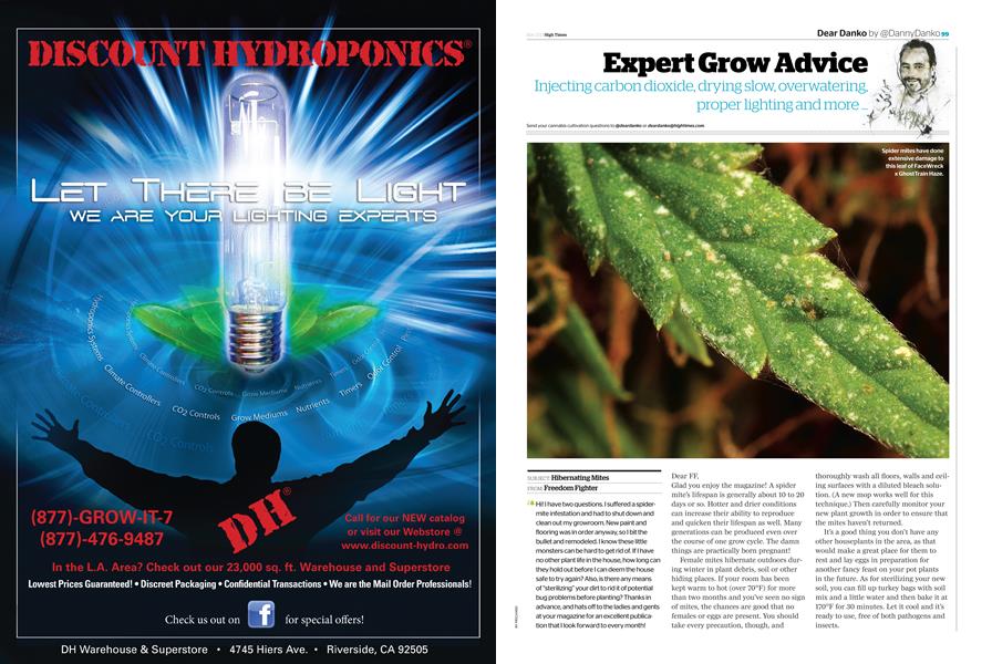 Expert Grow Advice