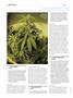 Page: - 100 | High Times