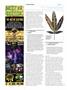 Page: - 102 | High Times
