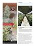 Page: - 104 | High Times