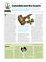 Page: - 112 | High Times