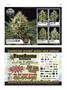 Page: - 113 | High Times