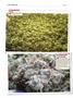 Page: - 122 | High Times