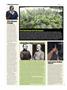 Page: - 22 | High Times