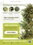 Page: - 3 | High Times