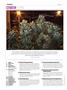 Page: - 4 | High Times