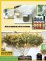 Page: - 42 | High Times