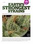 Page: - 45 | High Times
