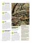 Page: - 47 | High Times
