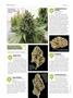 Page: - 48 | High Times