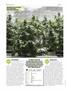 Page: - 52 | High Times