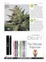 Page: - 54 | High Times
