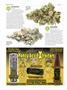 Page: - 56 | High Times
