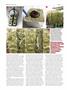 Page: - 60 | High Times