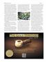 Page: - 62 | High Times