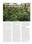 Page: - 66 | High Times