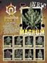 Page: - 93 | High Times
