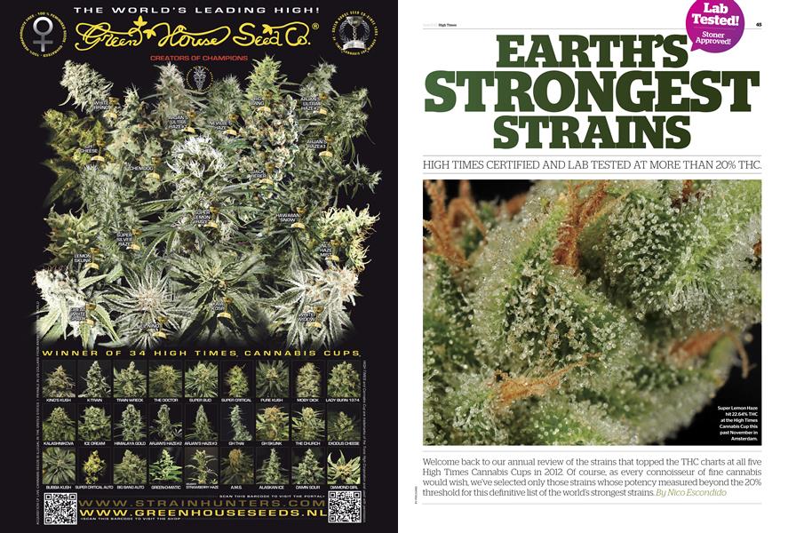 EARTH'S STRONGEST STRAINS
