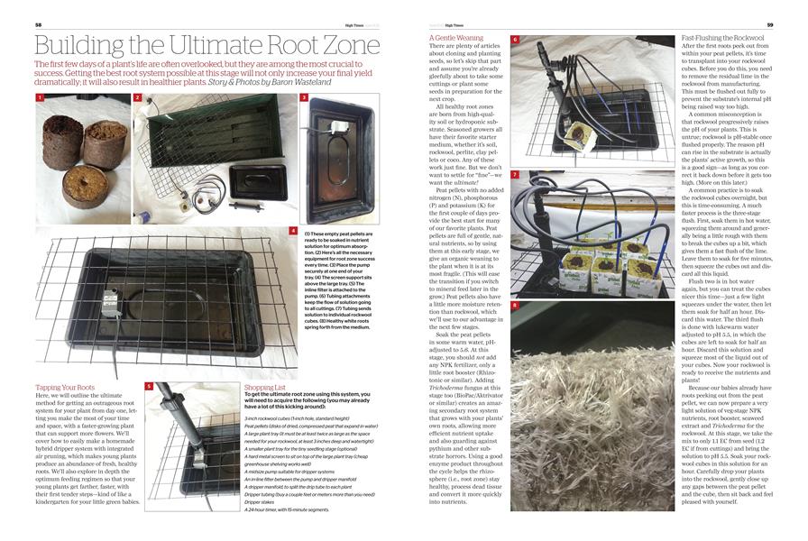 Building the Ultimate Root Zone